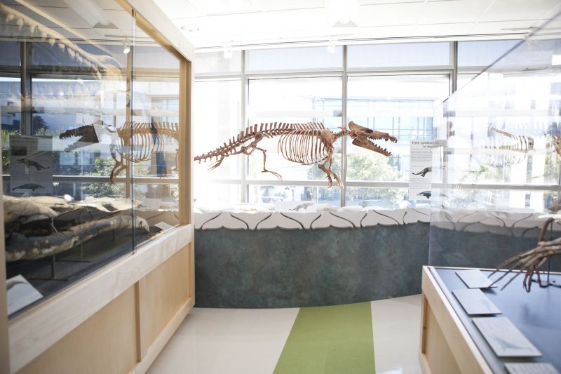 To Charleston Charleston Magazine Charleston, SC